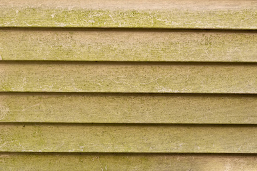 types of timber cladding