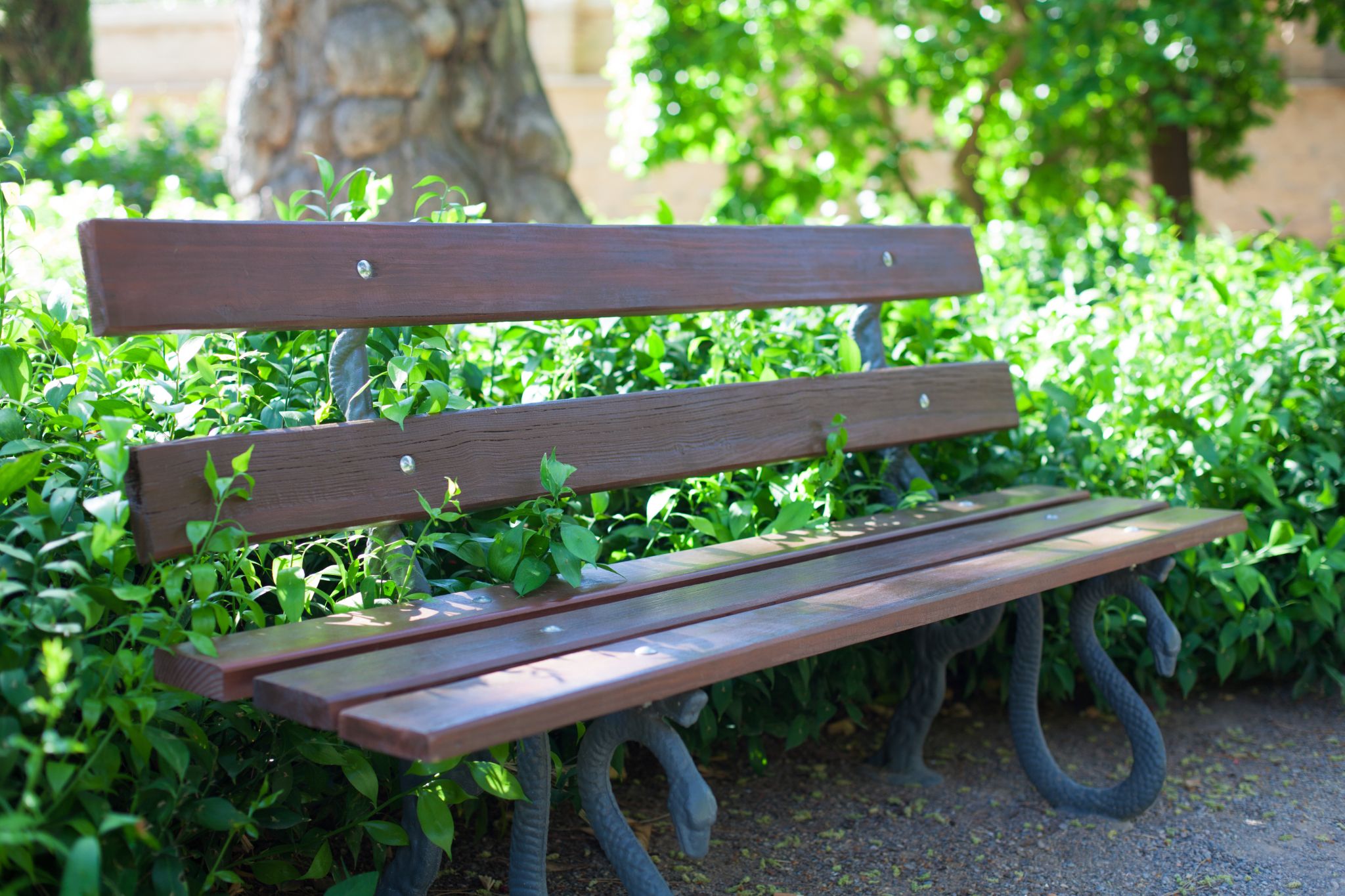Garden Bench Made of Timber