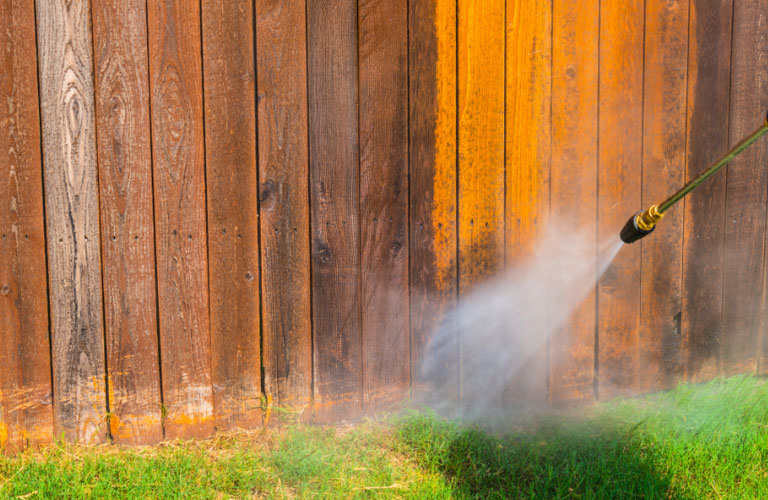 garden fence maintenance