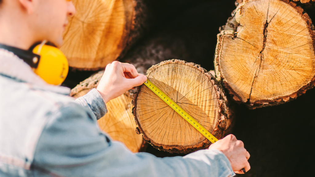 Different Size of Timber
